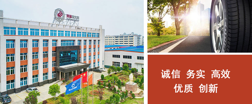 hubei-new-torch-science-&-technology-co.,-ltd.(ntp).jpg